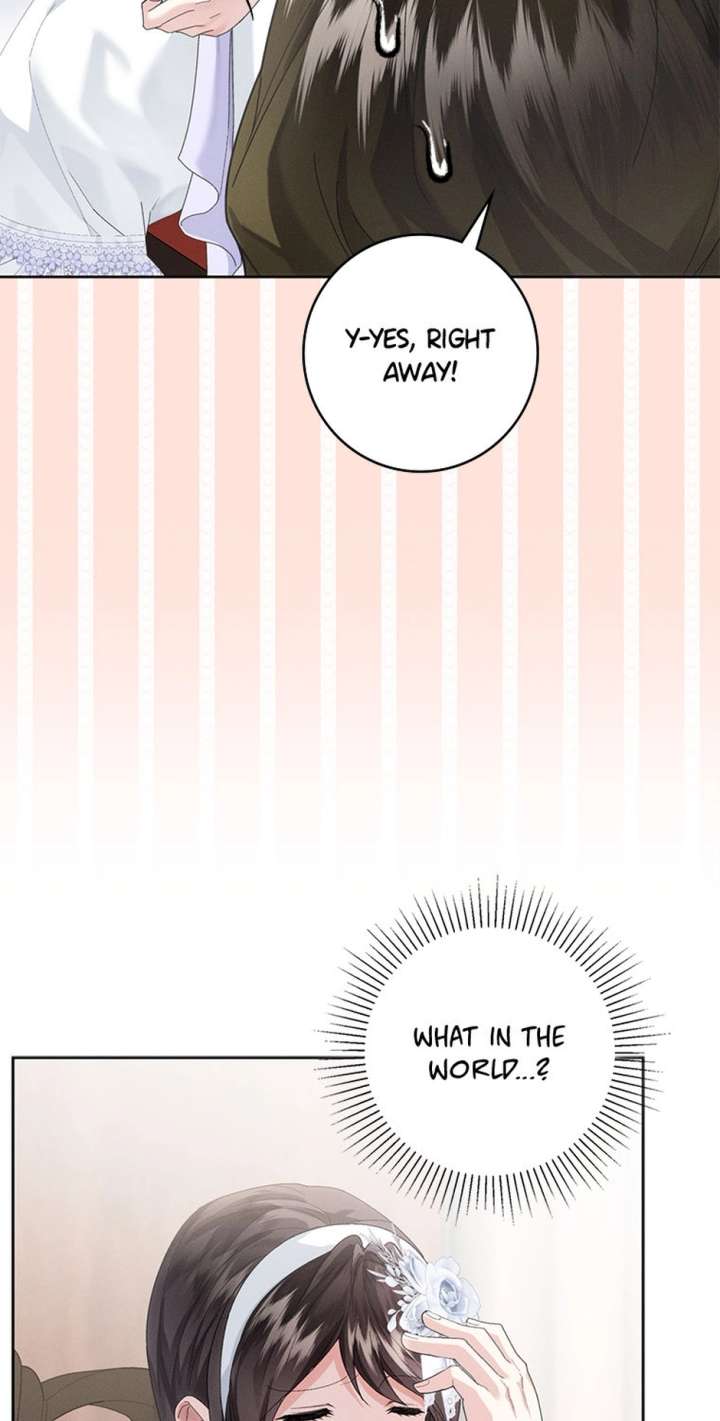 Would You Like to Have an Affair With Me Chapter 43 page 45 - 