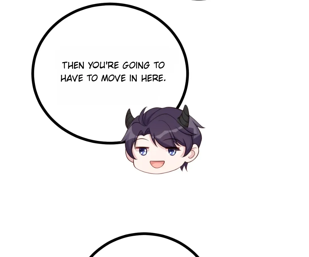 Xiaobai