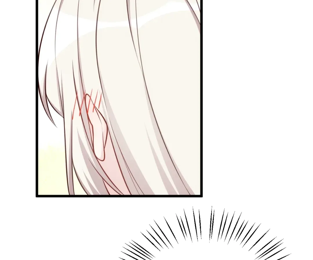 Xiaobai
