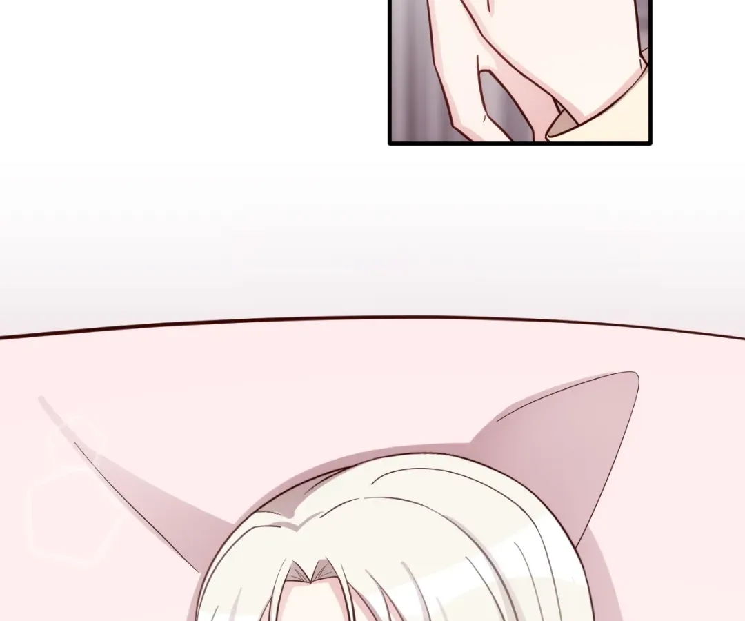 Xiaobai