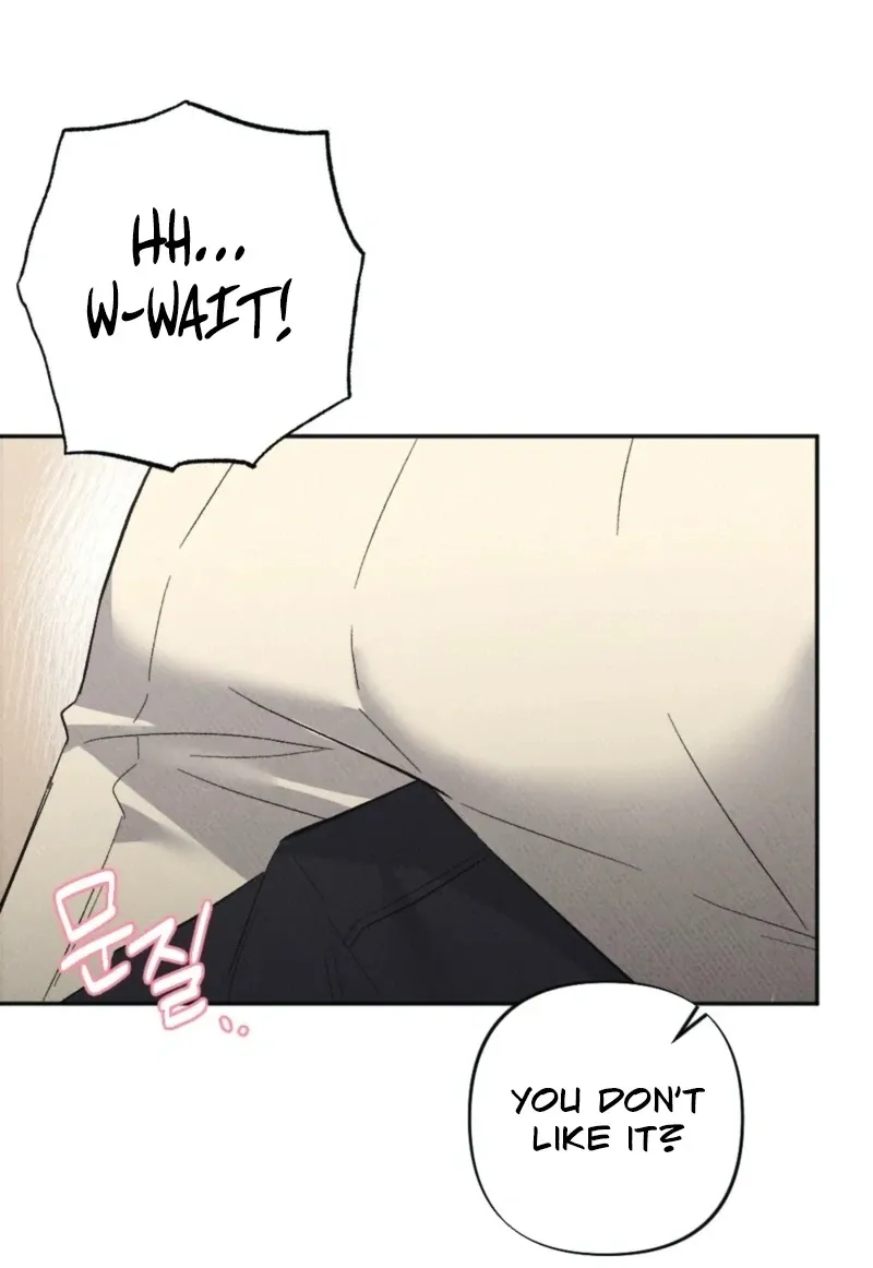 XX a Modest Younger Brother