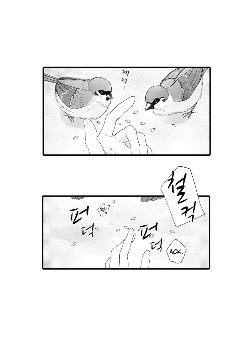 Yakuza to Renge Chapter 1 page 4 - 