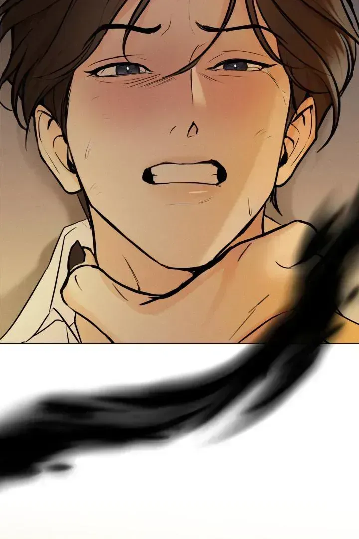 Yang Energy Chapter 1.4 page 169 - 