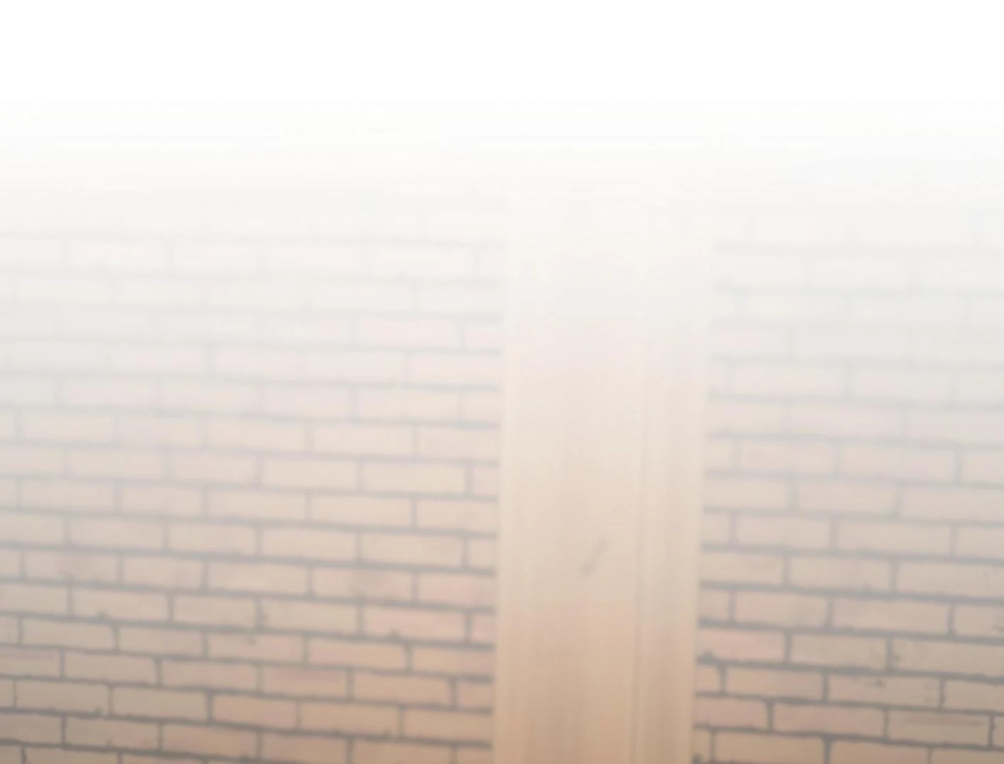 Yang Il-woo and I Chapter 27.2 page 5 - 