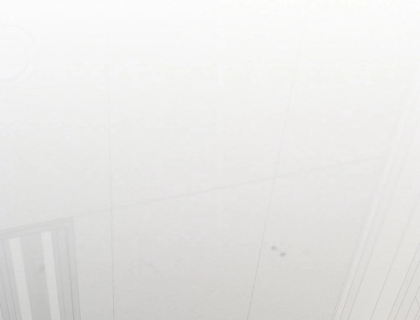 Yang Il-woo and I Chapter 27.2 page 47 - 