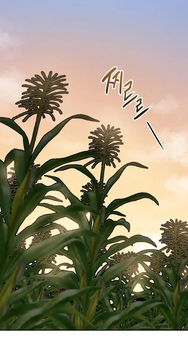 Yangachiwa Jopogagassi Chapter 4 page 81 - 