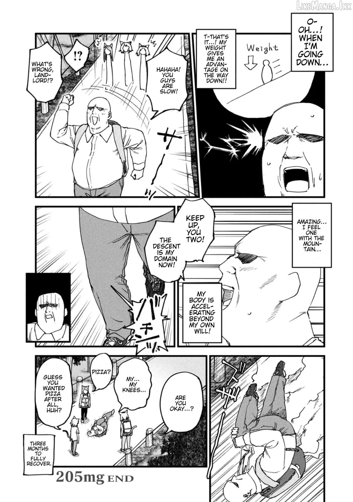 Yani Neko Chapter 205 page 5 - 