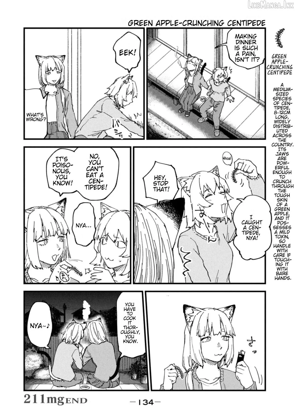Yani Neko Chapter 211 page 4 - 