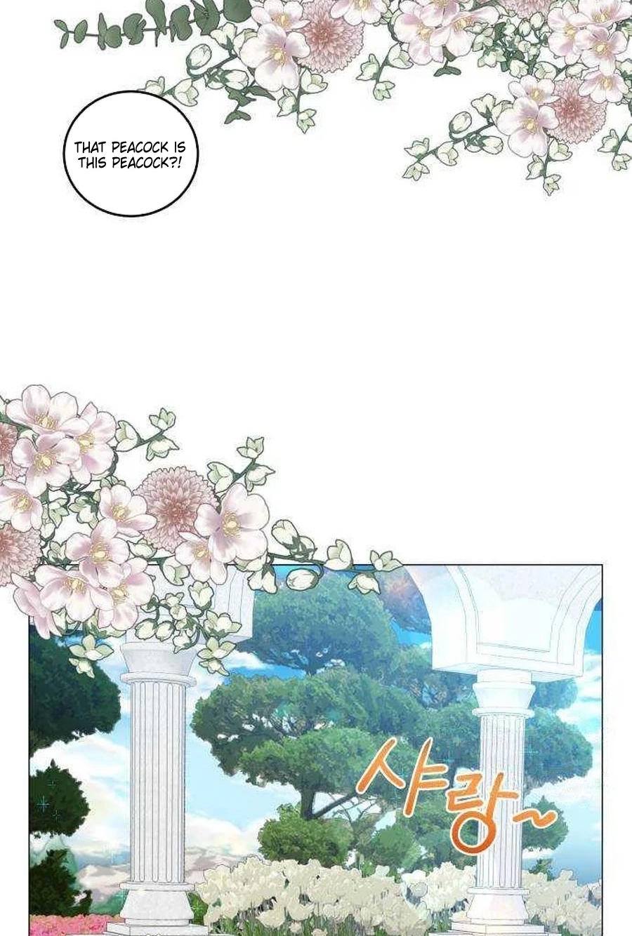 Yard for Two Chapter 283 page 41 - 
