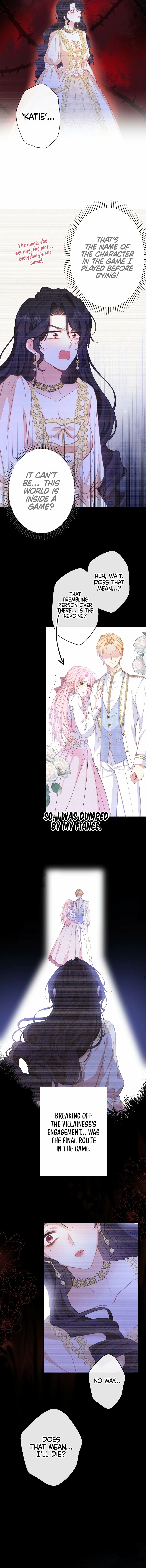 Yasagurete Shimatta Reijou wa, Shuuchaku Ouji ni Nabikitakunai! Chapter 3 page 13 - 