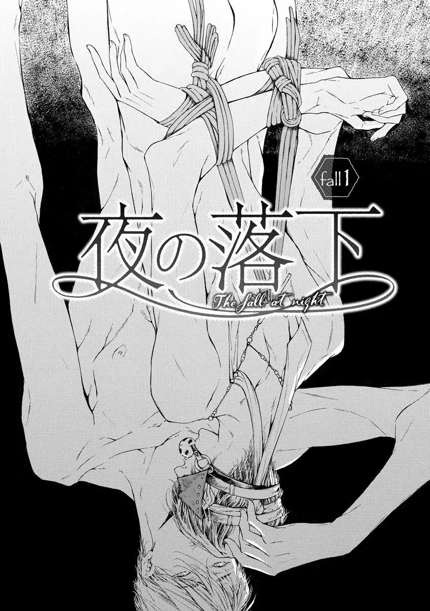 Yoru no Rakka Chapter 1 page 9 - 