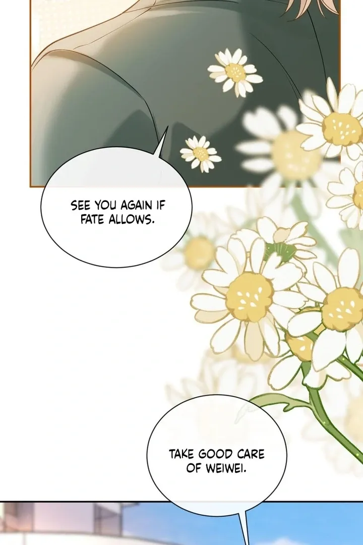 You Are My Thousands of Stars Chapter 15 page 42 - 