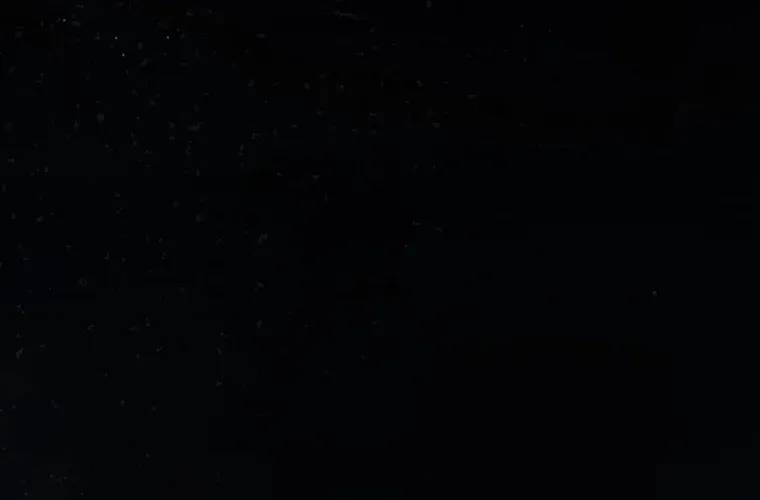 You Are My Thousands of Stars Chapter 2 page 57 - 