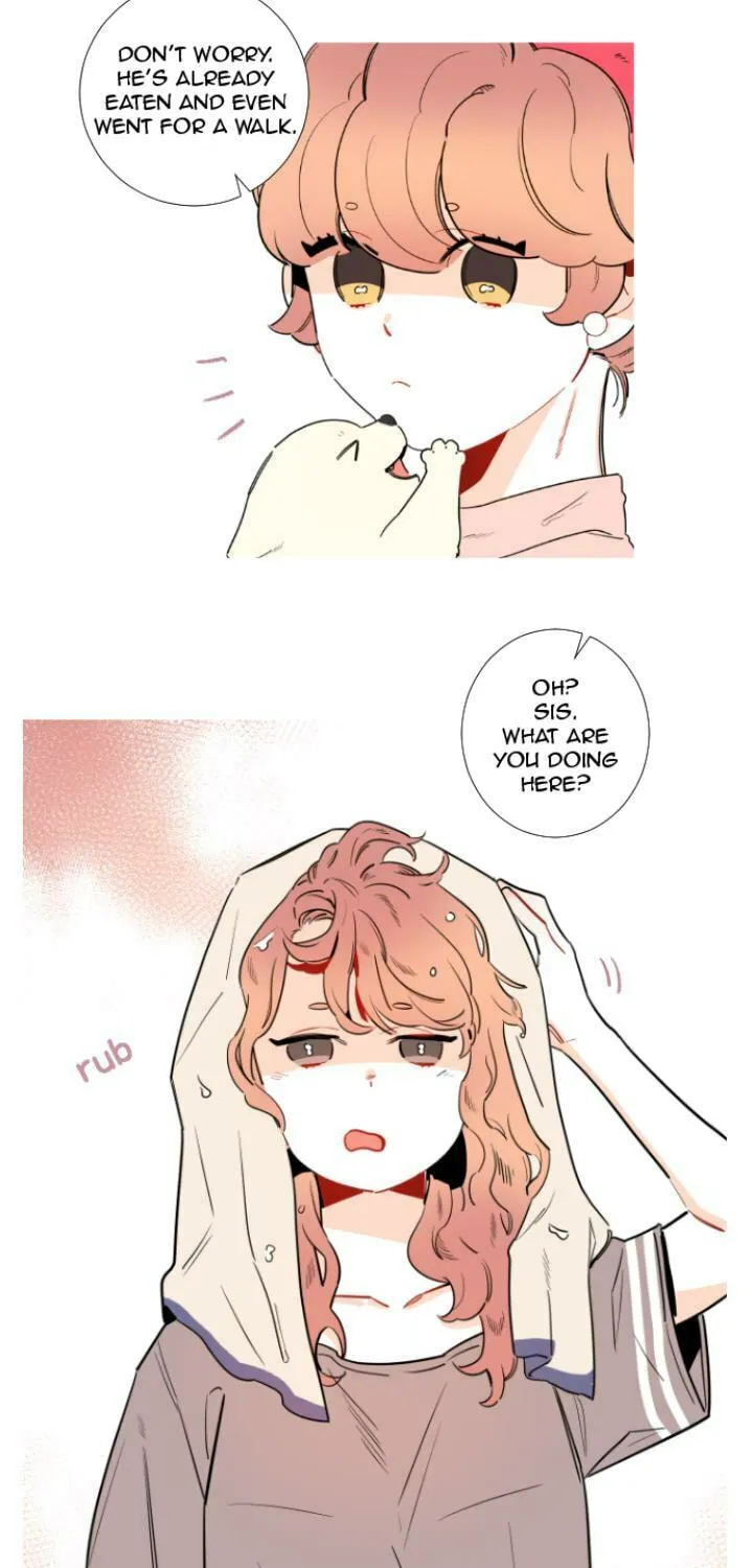You At First Sight Chapter 17 page 3 - 