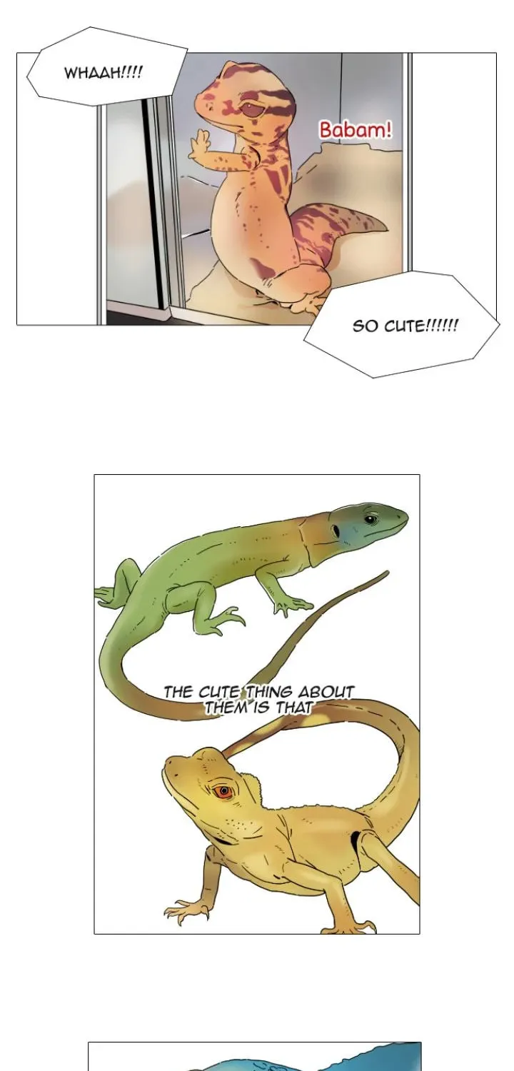 You At First Sight Chapter 3 page 14 - 
