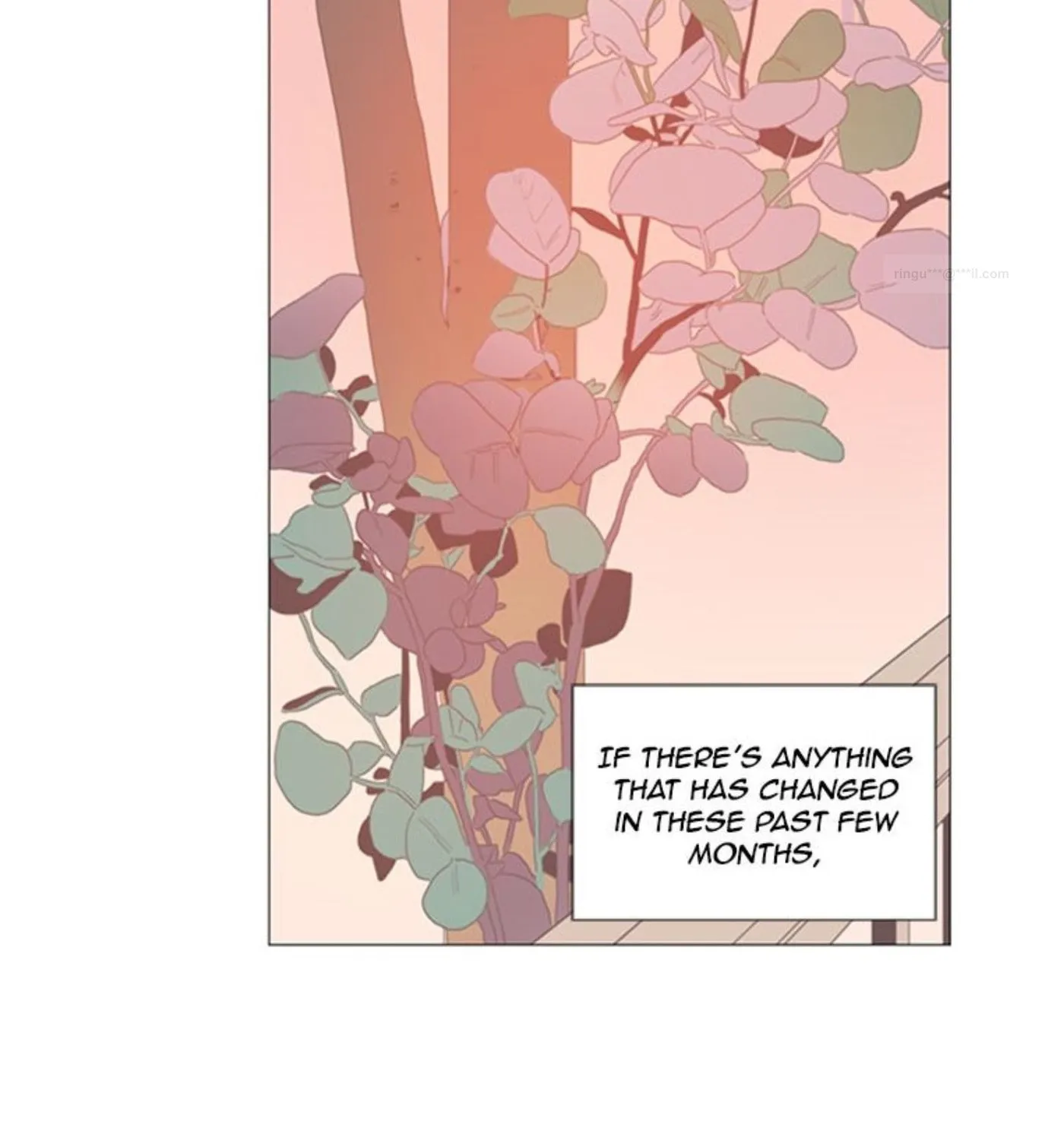 You At First Sight Chapter 51 page 37 - 