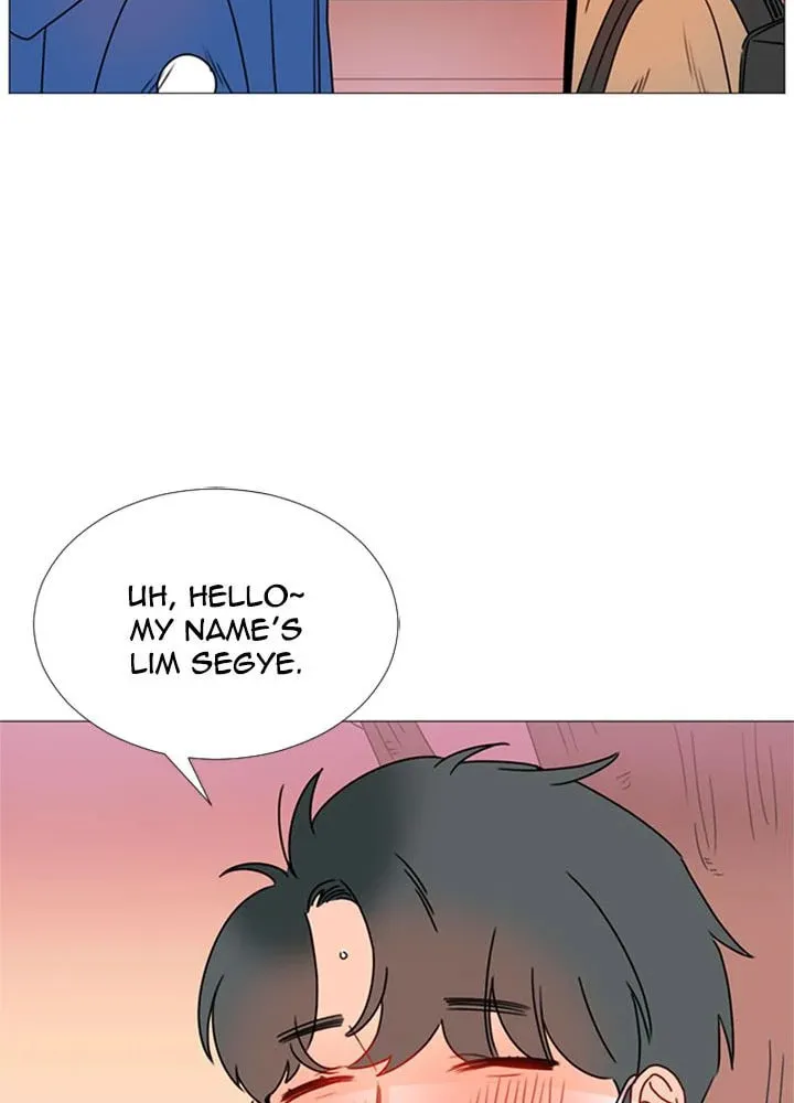 You At First Sight Chapter 65 page 12 - 
