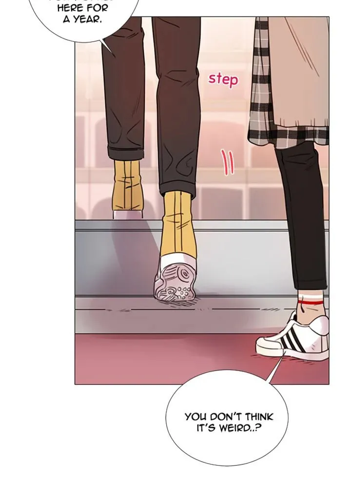 You At First Sight Chapter 79 page 33 - 