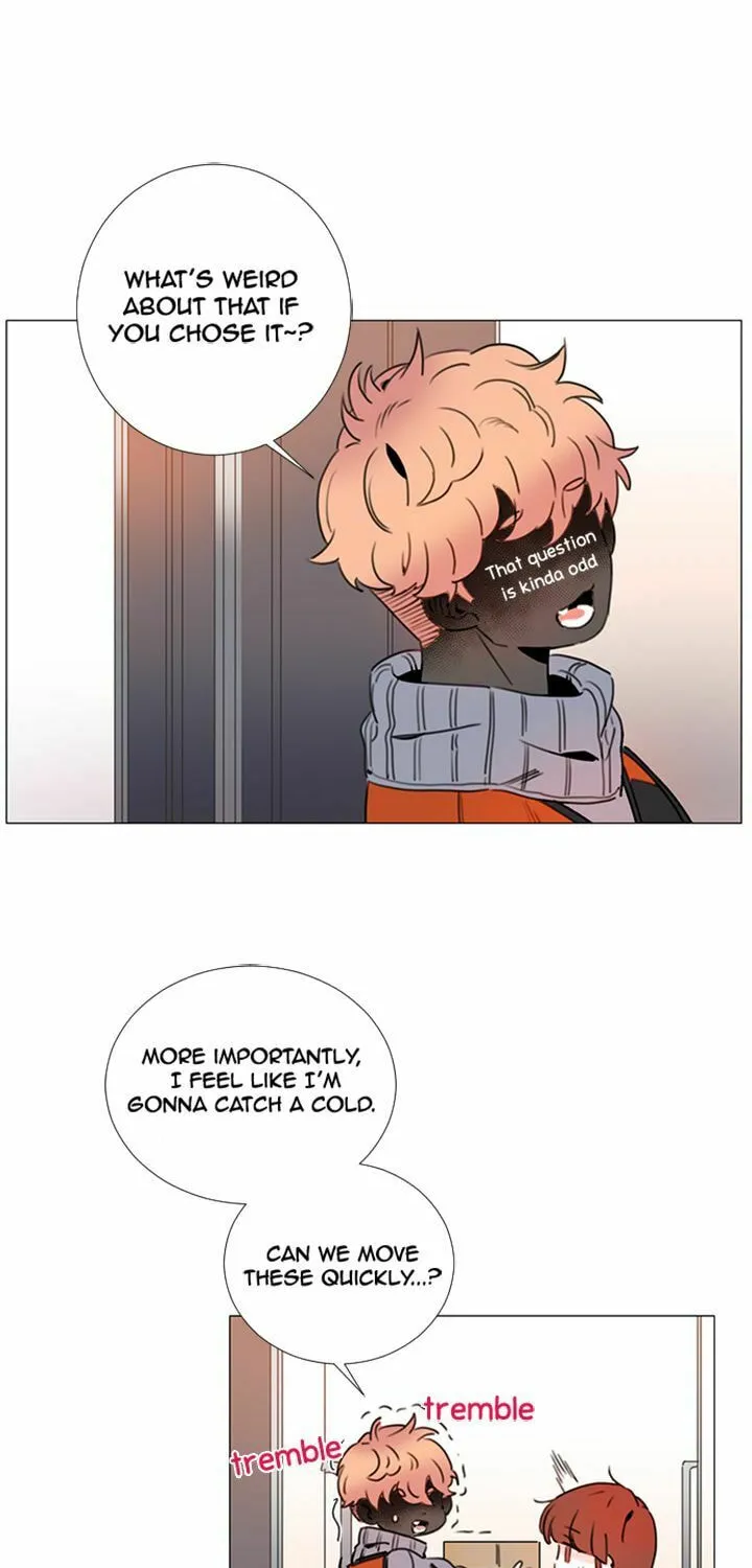 You At First Sight Chapter 79 page 35 - 