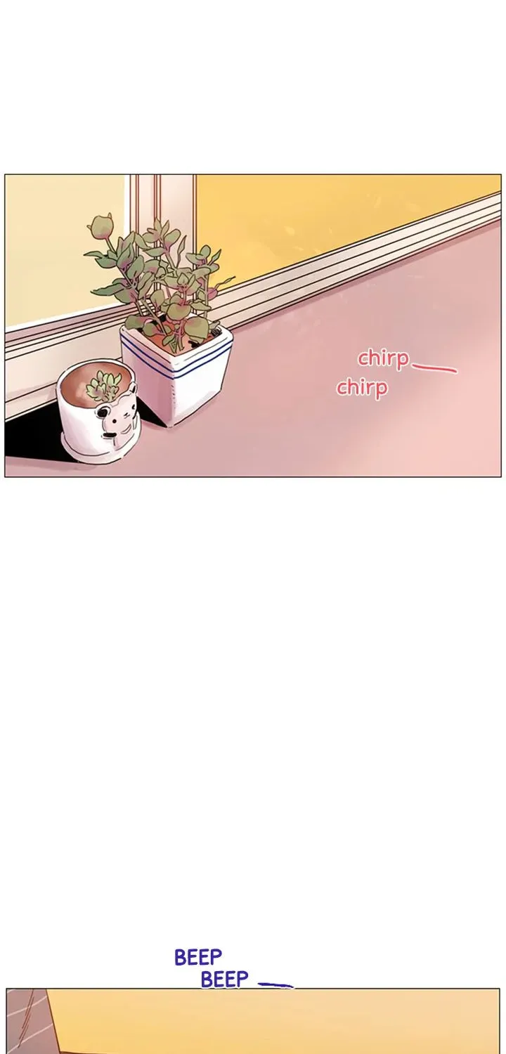 You At First Sight Chapter 91 page 2 - 