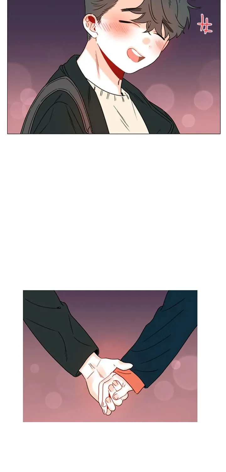 You At First Sight Chapter 91 page 61 - 