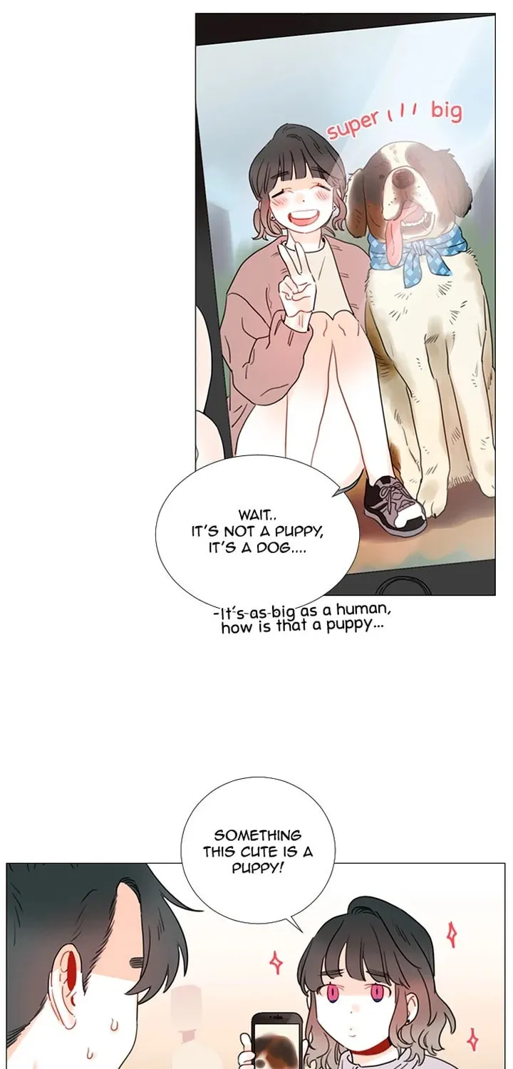 You At First Sight Chapter 96 page 2 - 