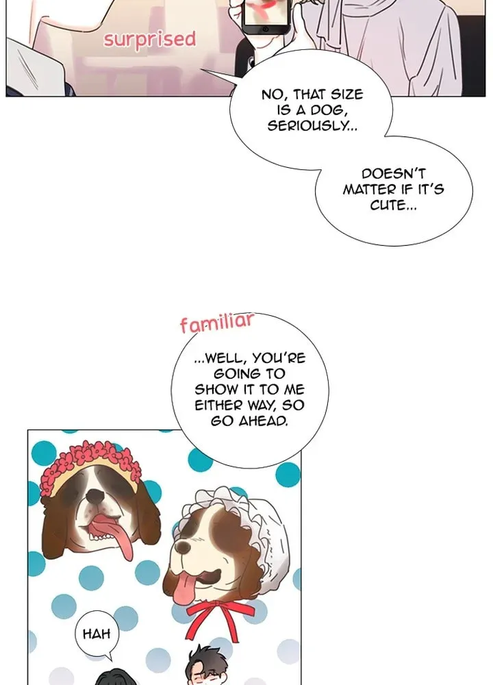 You At First Sight Chapter 96 page 3 - 