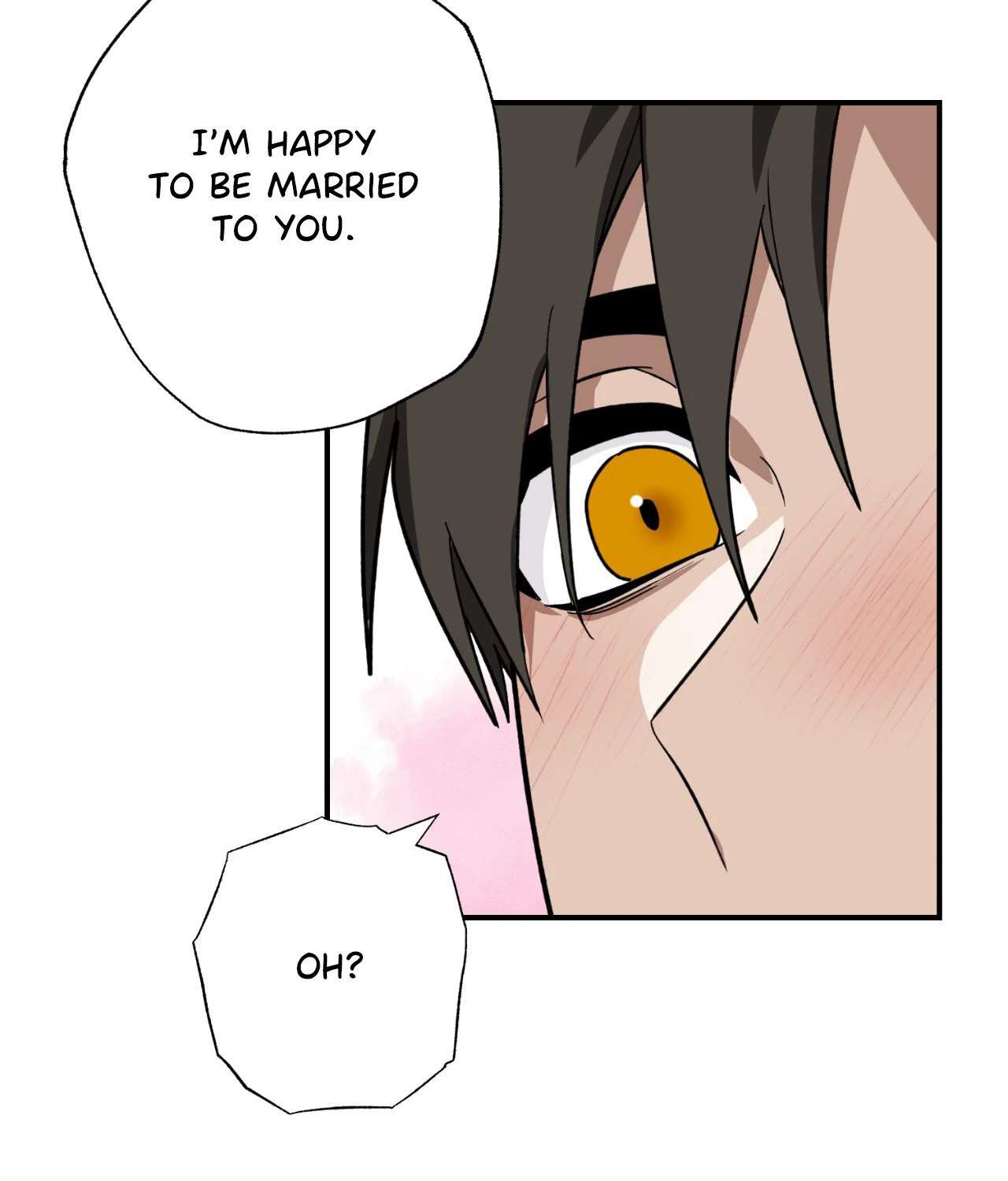 You Can’t Come, Sir! Chapter 30 page 27 - 