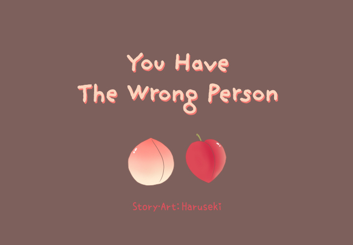 You Have The Wrong Person Chapter 15 page 1 - 