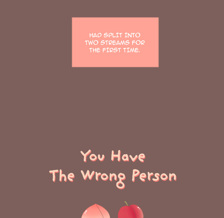 You Have The Wrong Person Chapter 19 page 70 - 