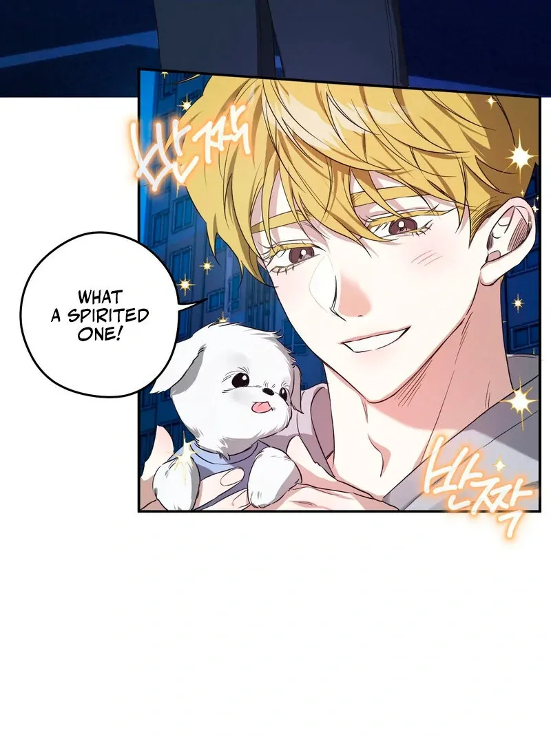 You Said the Dog in That House Was Cute? Chapter 1 page 16 - 