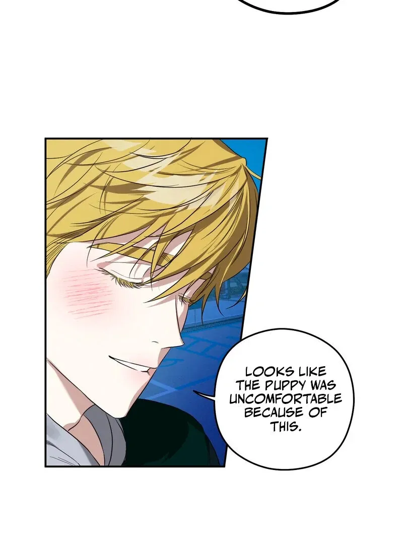 You Said the Dog in That House Was Cute? Chapter 1 page 20 - 