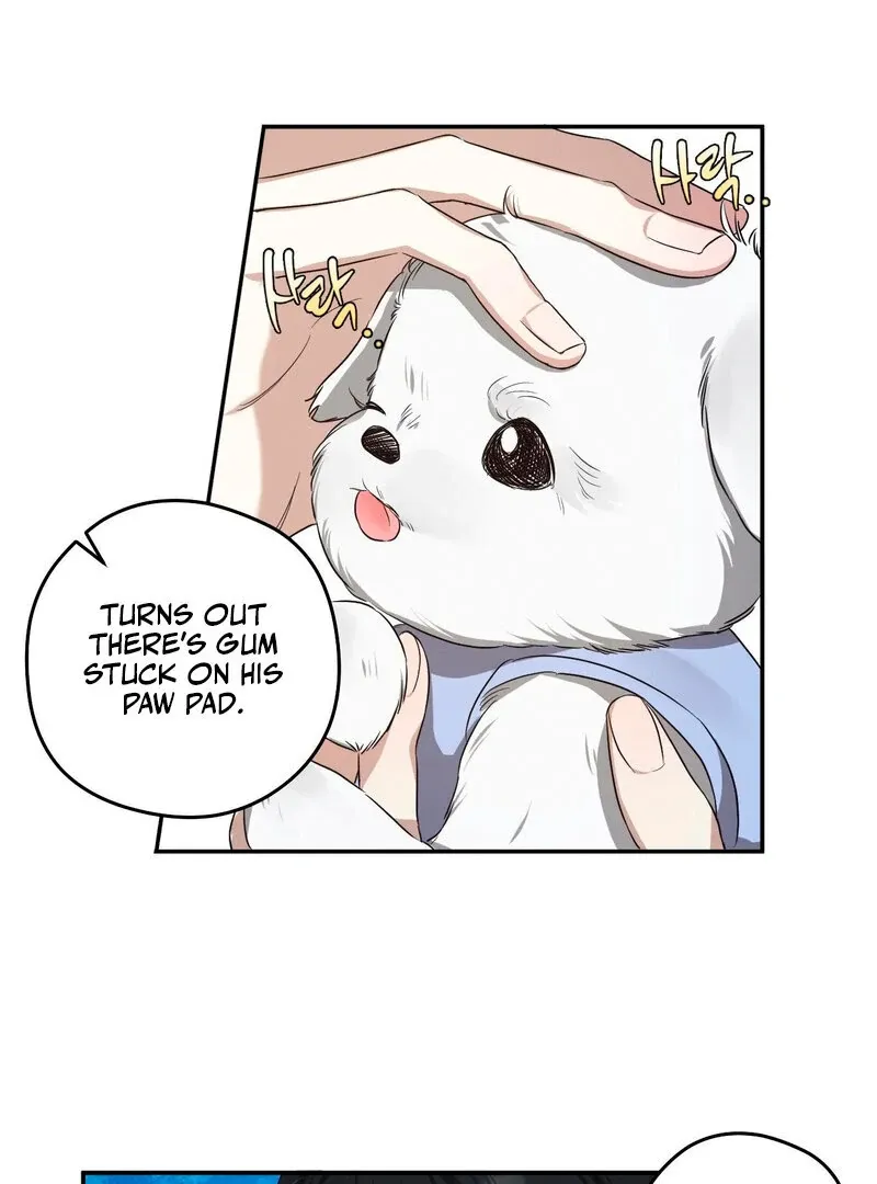 You Said the Dog in That House Was Cute? Chapter 1 page 21 - 