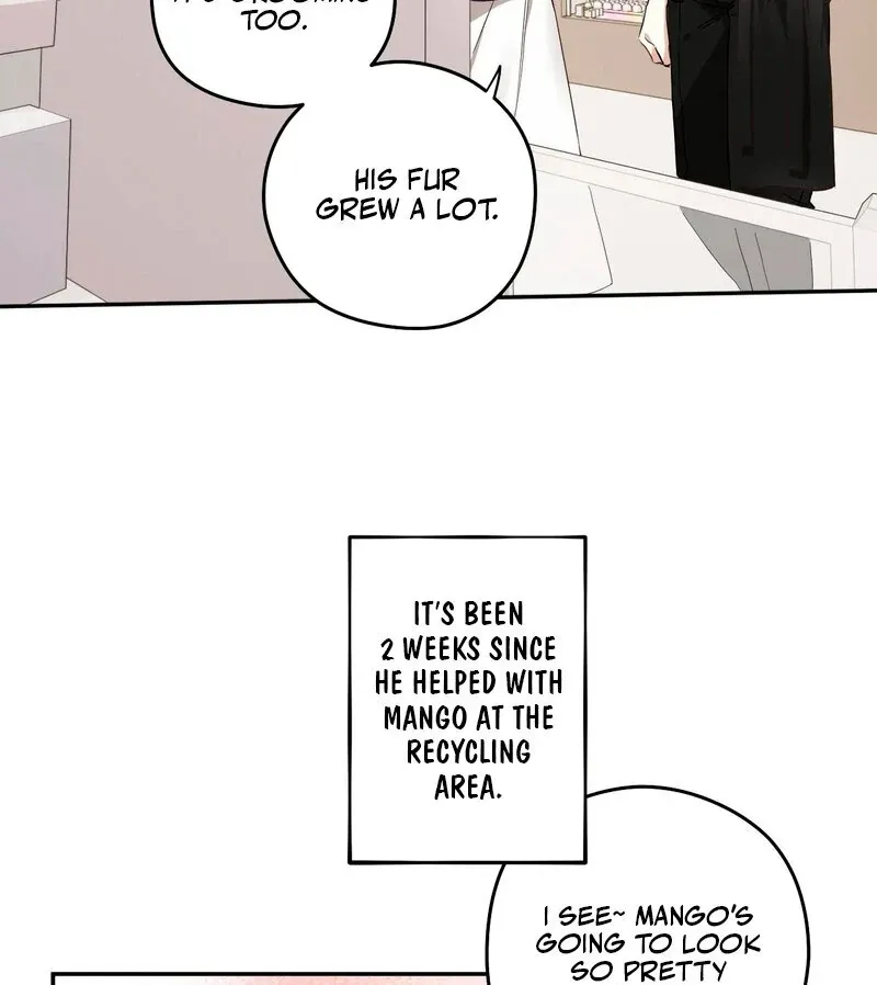 You Said the Dog in That House Was Cute? Chapter 1 page 37 - 