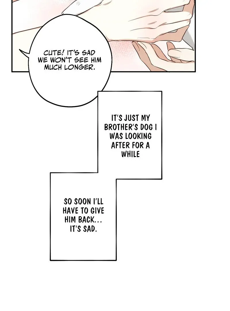 You Said the Dog in That House Was Cute? Chapter 1 page 41 - 