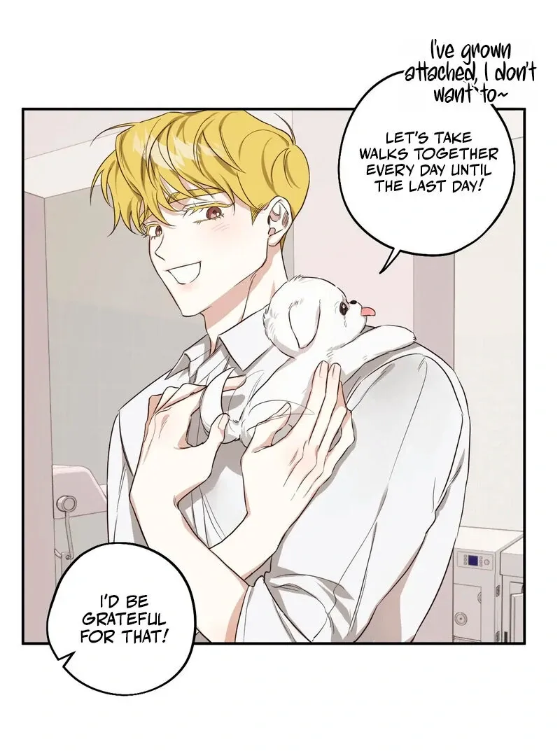 You Said the Dog in That House Was Cute? Chapter 1 page 42 - 