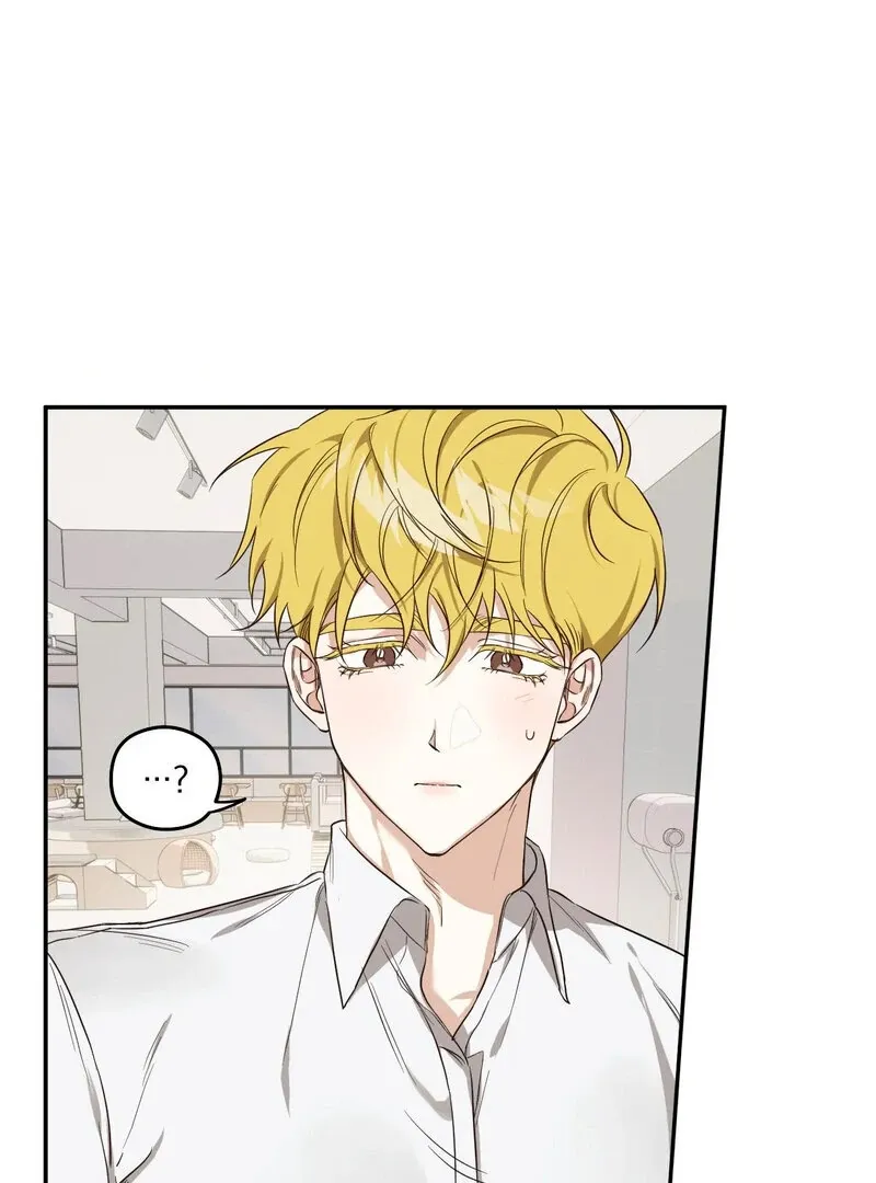 You Said the Dog in That House Was Cute? Chapter 1 page 48 - 