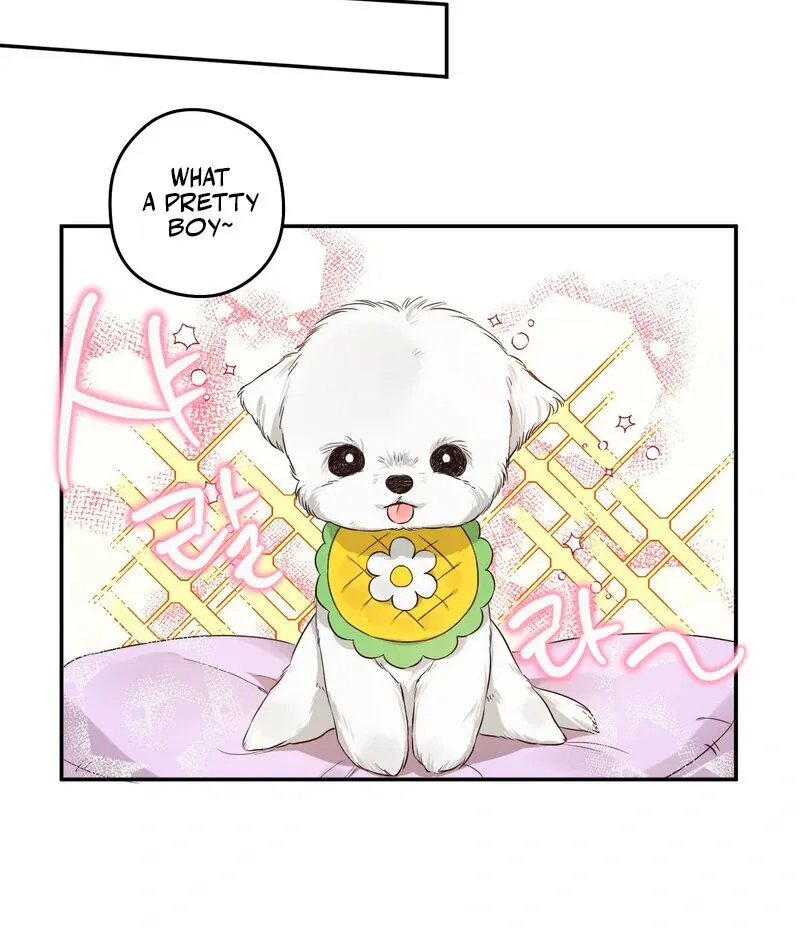 You Said the Dog in That House Was Cute? Chapter 1 page 50 - 