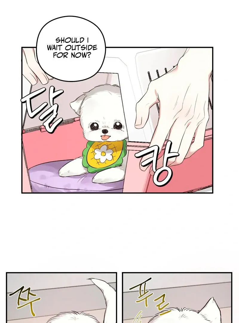 You Said the Dog in That House Was Cute? Chapter 1 page 67 - 