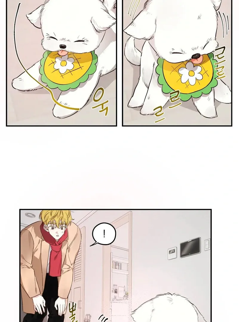 You Said the Dog in That House Was Cute? Chapter 1 page 68 - 