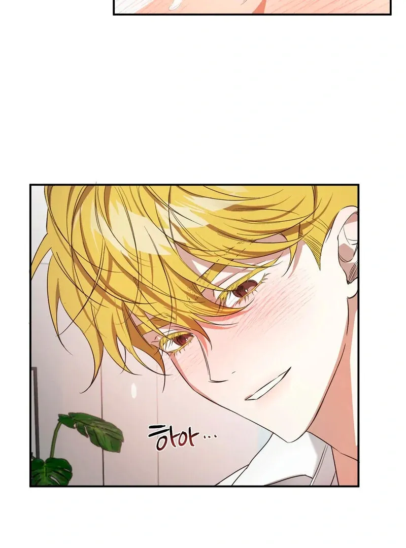 You Said the Dog in That House Was Cute? Chapter 2 page 34 - 