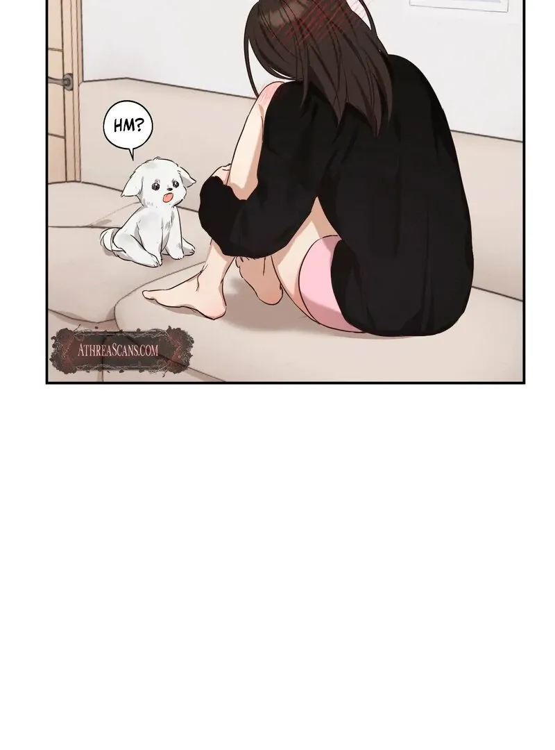 You Said the Dog in That House Was Cute? Chapter 2 page 70 - 