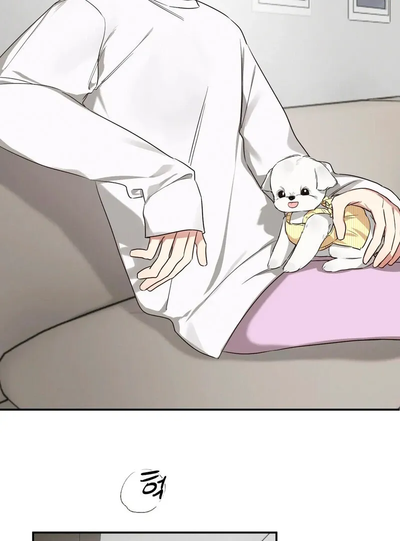 You Said the Dog in That House Was Cute? Chapter 3 page 41 - 