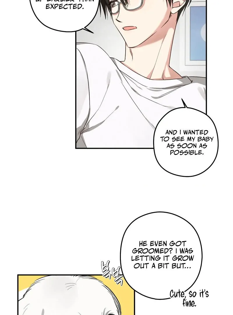 You Said the Dog in That House Was Cute? Chapter 3 page 43 - 