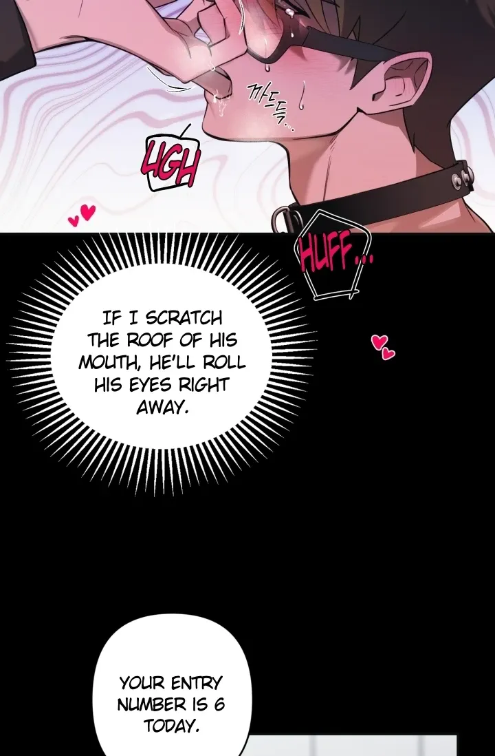 You Said You Were Going to See an Idol!! Chapter 2 page 45 - 