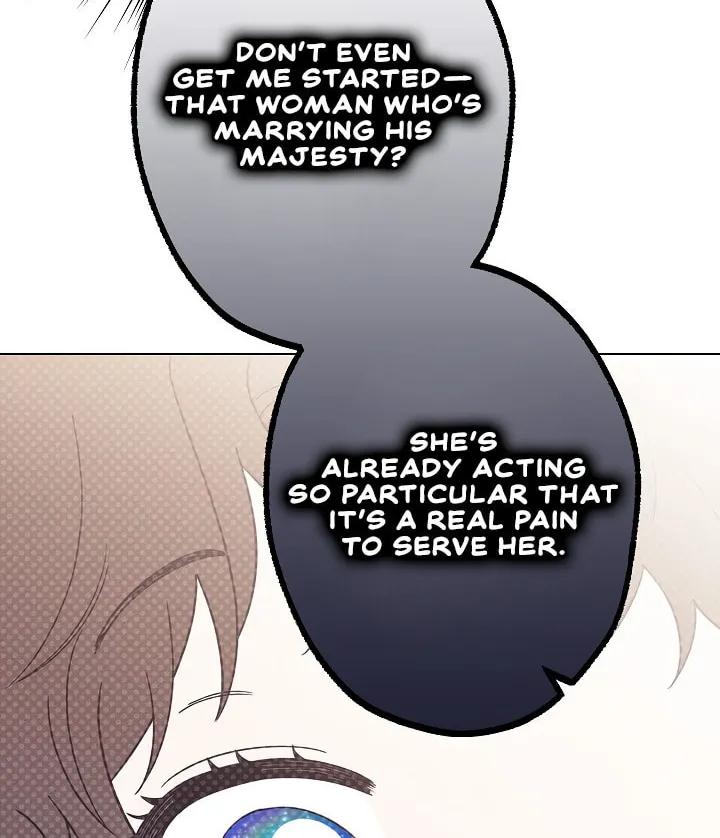 Youngest Sister-in-Law in a Tragic Reverse Harem Chapter 25 page 96 - 