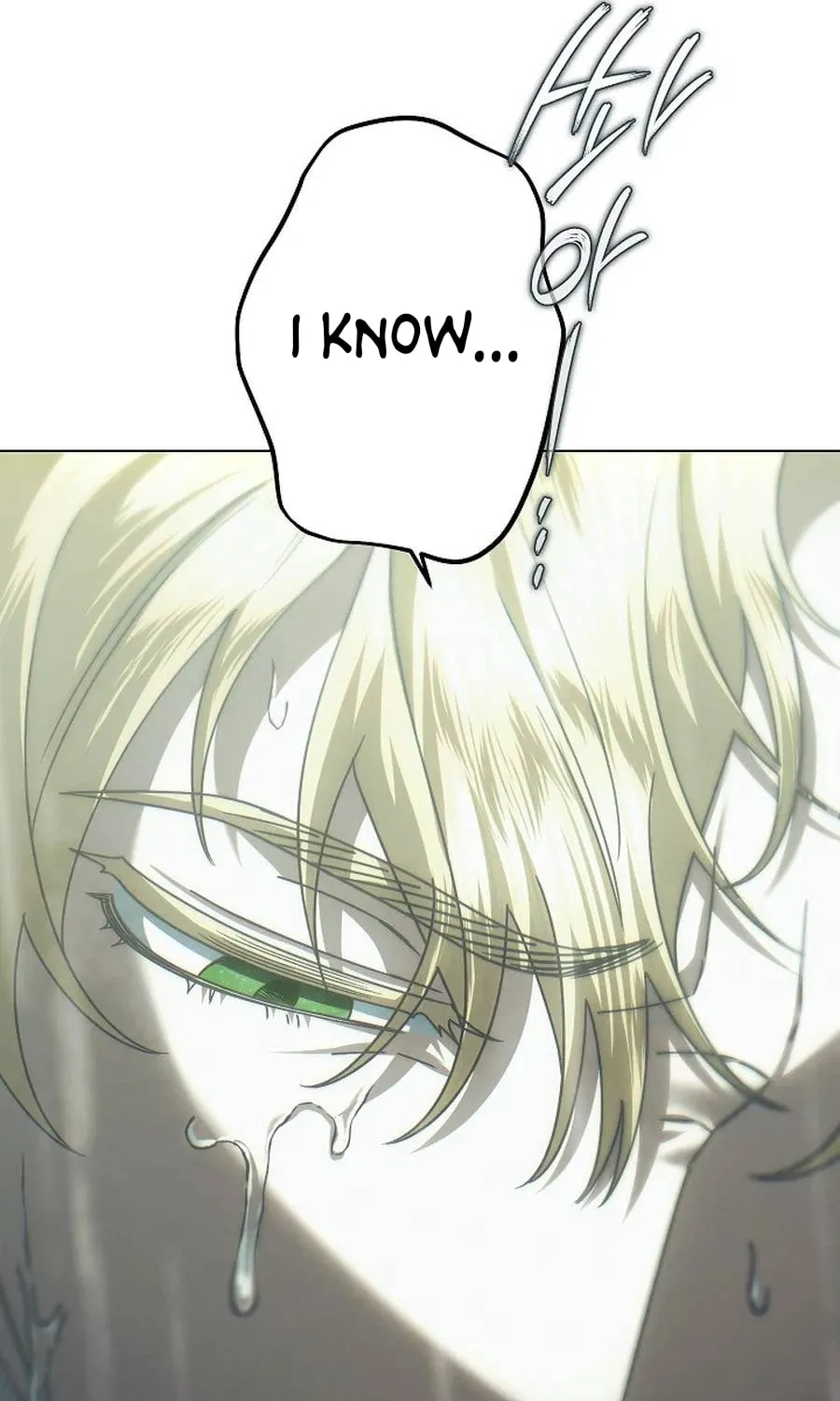 Youngest Sister-in-Law in a Tragic Reverse Harem Chapter 40 page 43 - 