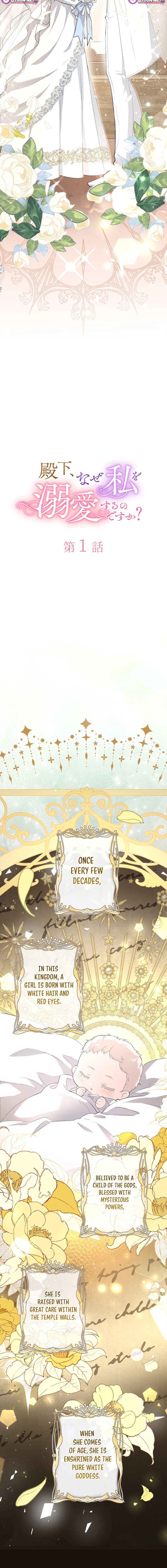 Your Highness, Why Do You Dote on Me So? Chapter 1 page 4 - 