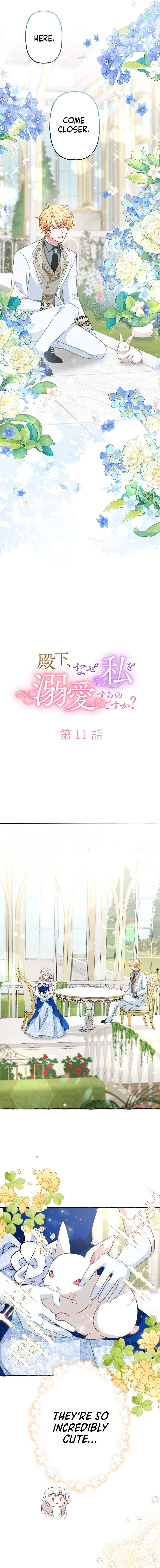 Your Highness, Why Do You Dote on Me So? Chapter 11 page 5 - 