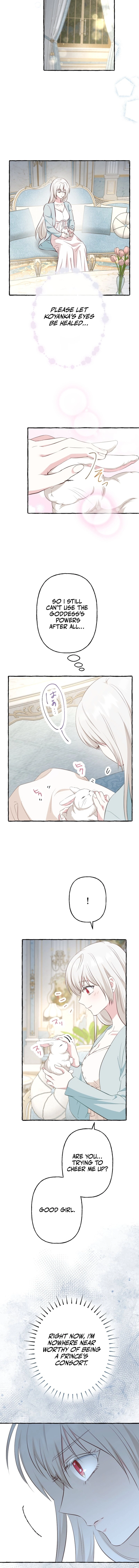 Your Highness, Why Do You Dote on Me So? Chapter 13 page 12 - 